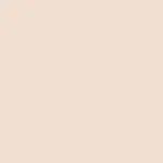 The Illusionist Corrector F1 NEUTRAL