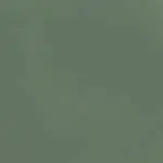 L'Oxygéné Laca de uñas 6F7B67 - LIGHT KHAKI