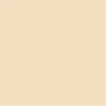 The Illusionist Corrector F2 OLIVE