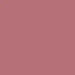 Beyond Blurry Lipstick Barra de Labios WARM ROSE