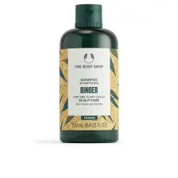 Ginger champú 250 ml
