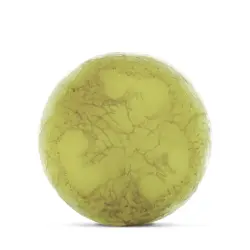 Spirulite 175 gr