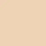 The Illusionist Corrector L1 NEUTRAL