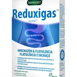 Benegast - 20 Comprimidos Hinchazón & Flactulencias Reduxigas Benegast.