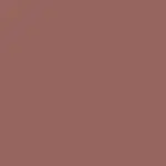 Beyond Blurry Lipstick Barra de Labios TERRACOTTA