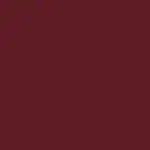 Beyond Blurry Lipstick Barra de Labios VAMPY RED