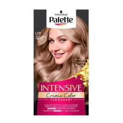 Intensive Creme Color U11 Gris Helado Rose