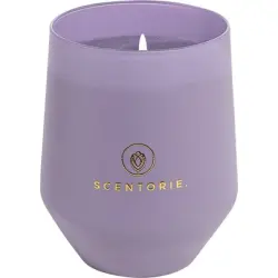 Scentorie Love Artist Violett 300 g 300.0 g