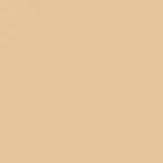 The Illusionist Corrector L2 OLIVE