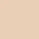 BFF Hydrating Liquid Concealer Corrector 01
