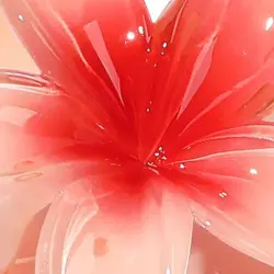 Pinza Para El Pelo Miya Pinza cabello Durazno