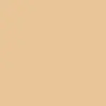 The Illusionist Corrector LM1 WARM OLIVE