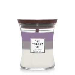 WoodWick - Trilogy Amethyst Sky Velas 411 g unisex