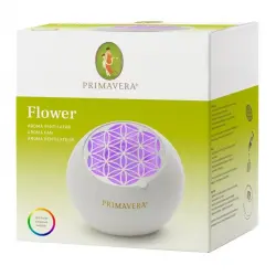 Primavera - Dispositivos de fragancia Abanico de aroma floral Ambientadores 1 pieces female