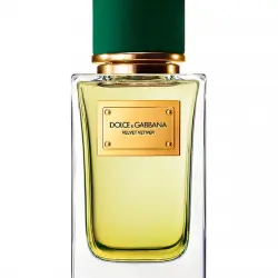 Dolce & Gabbana - Eau de Parfum Velvet Vetiver 100 ml Dolce&Gabbana.