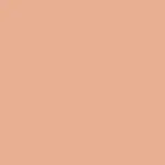 Blurred Matte Lip Plumper ENCHANT