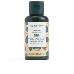 Shea champú 60 ml