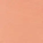 Natural Blur Brightening Polvos DEEP PEACH