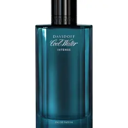 Eau de Parfum Intense Dav Cw Int M Edp 100 ml Davidoff