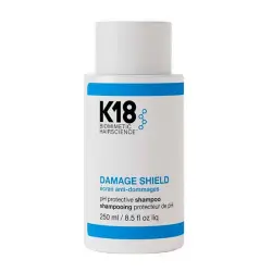 Damage Shield