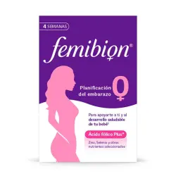 Planificación Del Embarazo