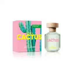 Dreams Green Cactus
