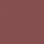 Matte Pleasure Lipstick Barra de Labios CHILI NUDE