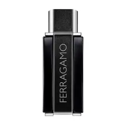 Salvatore Ferragamo - Ferragamo Sublime Leather Perfumes 100 ml male