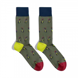 Calcetines de Dinosaurio  Billy Brown