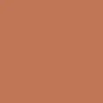 COLOUR SHIELD Maquillaje Aerografo Spray corporal AMBER