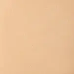 Daily Defense PDRN BB CREAM BB Cream WARM BEIGE