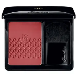 Rose Aux Joues Blush 02 Chic Pink