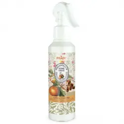 Prady - Ambientador en spray para hogar - Canela y Naranja