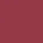 Beyond Blurry Lipstick Barra de Labios WARM RED