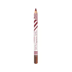 Perfilador de Labios Long Lasting