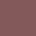 Beyond Blurry Lipstick Barra de Labios DEEP NUDE