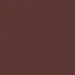 Beyond Blurry Lipstick Barra de Labios BROWN