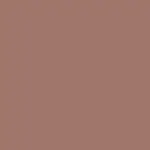 EXQUISIT Natural Tint Day Cream SPF15 BB Cream 50 ml