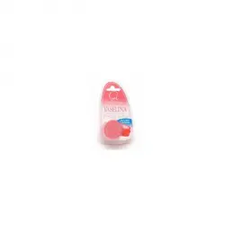 Vaselina Perfumada 13 ml