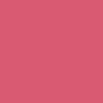 Fruity Glass Tint Brillo de labios 07 - Shy Guava