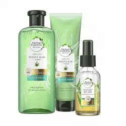 Herbal Essences - *Bio Renew* - Pack repara & suaviza - Champú + Acondicionador + Spray antiencrespamiento