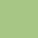 Lip Candy Oil Aceite labial GREEN APPLE