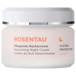 ANNEMARIE BÖRLIND - ROSENTAU Rosentau Crema de noche Cremas faciales 50 ml unisex