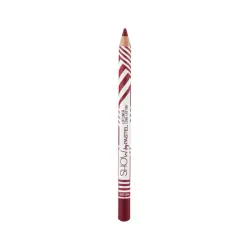 Perfilador de Labios Long Lasting