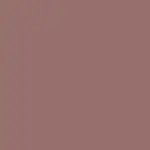 Beyond Blurry Lipstick Barra de Labios NUDE