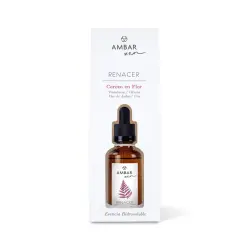 AMBAR Perfums - *Zen* - Esencia hidrosoluble - Renacer: Cerezo en flor