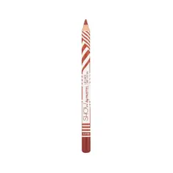 Perfilador de Labios Long Lasting