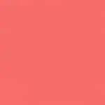 Fruity Glass Tint Brillo de labios 05 - Sweet Persimmon