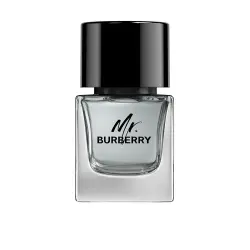 Mr Burberry eau de toilette vaporizador 50 ml