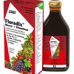 Floradix - Formulación Líquida De Hierro + Vitaminas 500 Ml